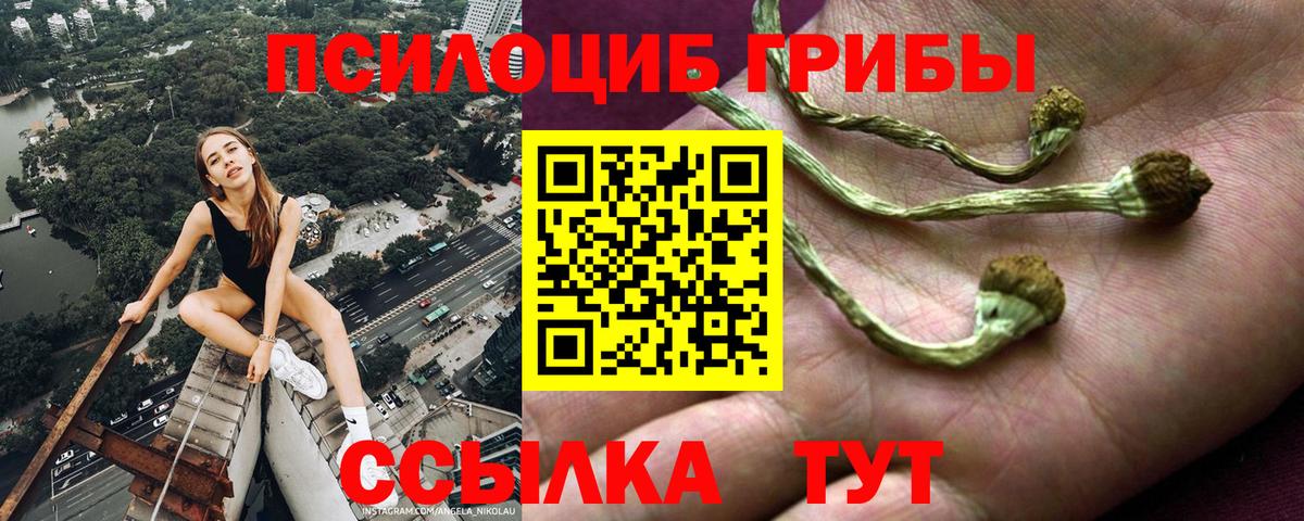 Псилоцибиновые грибы мухоморы  Вход с VPN  Алейск 