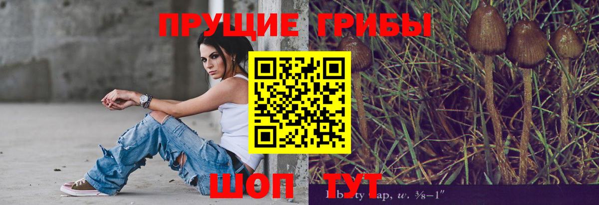 Галлюциногенные грибы ЛСД Алейск
